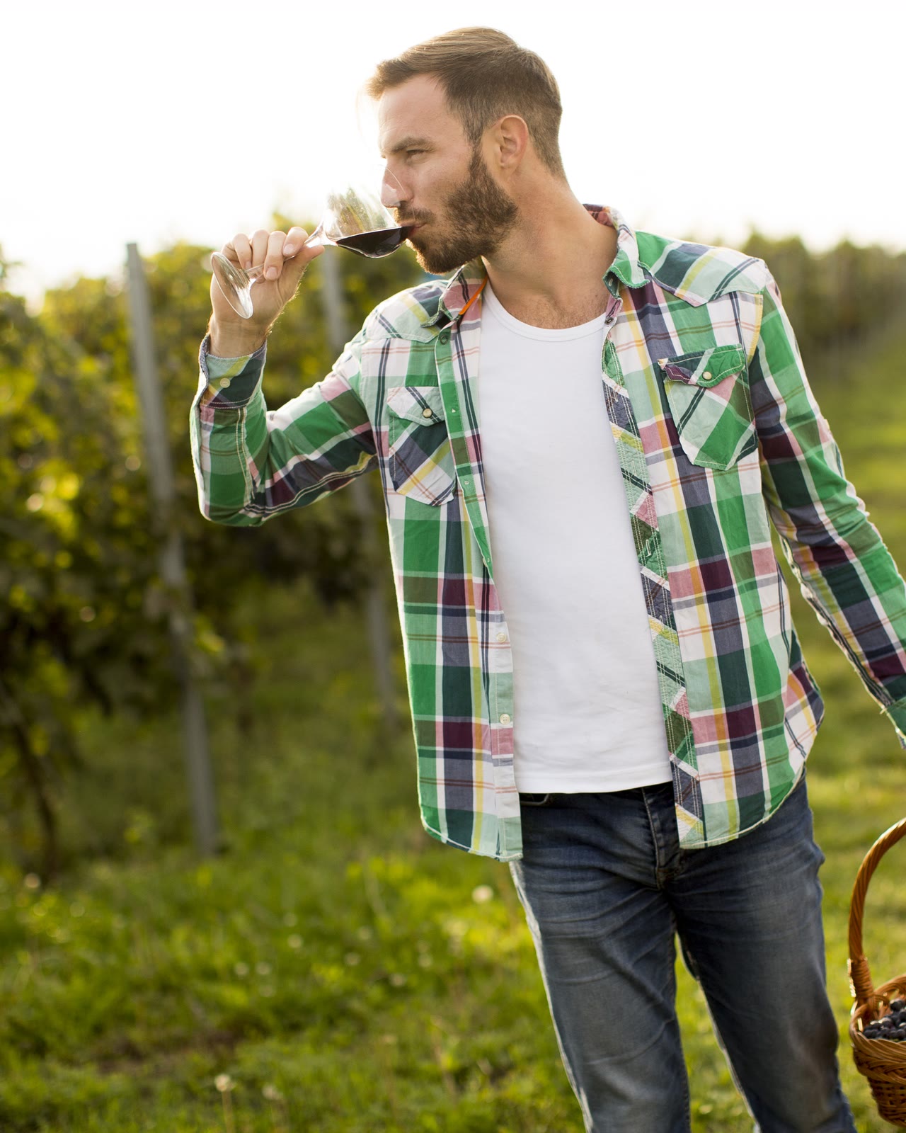 A winemaker tasting a glass of red in the vine rows, a basket of grapes in hand.